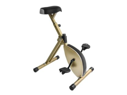 desk bike